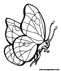 coloring sheets
