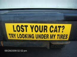 funny bumper sticker sayings