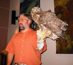 large owl pictures