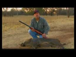 gamo hunting