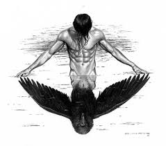 http://t1.gstatic.com/images?q=tbn:8Ln5ycP9Ncf-SM:http://aura.zaadz.com/photos/3/23939/xlarge/Raven.jpg
