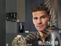 david boreanaz bones