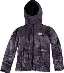 the north face