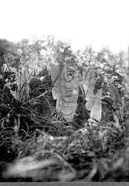 cottingley fairies photos