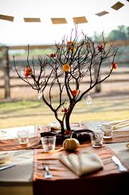 2 different centerpieces... need ideas! :  wedding halloween fall centerpiece diy autumn Images?q=tbn:8btxMDCOmxUqEM: