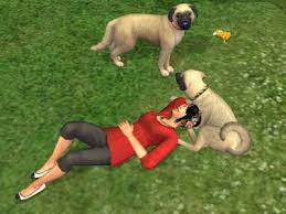 No, The Sims 3 isnt out yet,