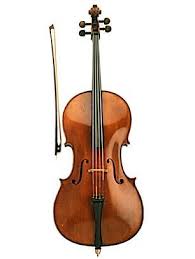 violoncello