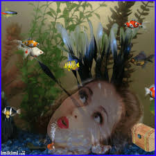 تستطيع أن ترى الصورة بحجمها الطبيعي بعد الضغط عليها تستطيع أن ترى الصورة بحجمها الطبيعي بعد الضغط عليها