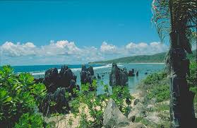 Beach at Nauru with coral