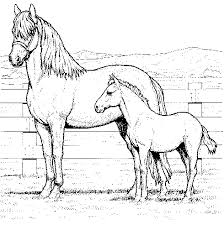mammal coloring pictures
