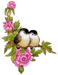 fleur-rose dans Librairie / vidéothèque