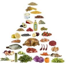 The Paleo Diet | CrossFit The