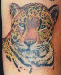jaguar wild cat