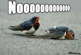 [Image: Noooooo.jpg&t=1]