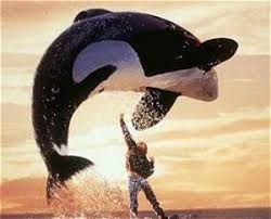 free willy