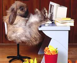 Osterhase in Frohe Ostern wünscht Ihnen das Team von shoppingforkids.de