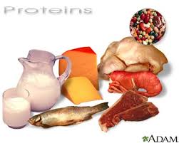protein