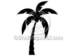 pine tree clipart images