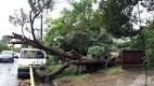 Three dead as wild weather lashes Sydney region - Channel NewsAsia