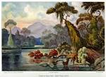 File:Haeckel Ceylon Jungle River.jpg - Wikipedia, the free ...