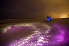 A beach covered in glowing oil