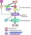 Blood Clotting