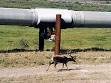 Trans-Alaska Pipeline System - Wikipedia, the free encyclopedia