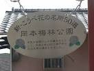 写真と雑記 : 梅見 神戸岡本梅林公園 2010/