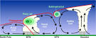 NWS JetStream - The Jet Stream
