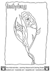 Ladybug coloring page