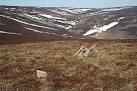 The view down from the summit to the Clashnarae Burn. The topography is - via Daymix