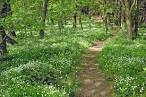 <b>Natur</b> auf Rügen