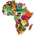 The Global Horticulture Initiative