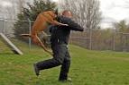 How Handle a Dog Attack ?