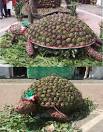 Artichoke festivals in Italy (Sagra of the Carciofo Romanesco)