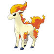 Ponyta