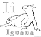 Iguana coloring page