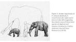 Palaeobiology and Biodiversity Research Group, Department of Earth ...