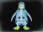 Una <b>radiografía</b> de Tux