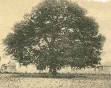 Hampton, Virginia - Wikipedia, the free encyclopedia
