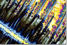 Molecular Expressions: The Pharmaceutical Collection - Ciprofloxacin (