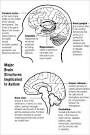 NIMH · Autism · Research into Causes and Treatment of Autism ...