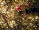 Free up some Energy this Holiday Season « Dynamic Collaborations