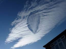 http://t1.gstatic.com/images?q=tbn:ANd9GcQ1zhGuFoUoaGKtpkbK47F4dbNFW4Yac2hvzU3E9l3qMXCc-un2HvNbo054Qg