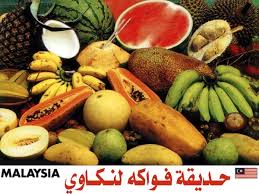 لنكاوي جزيرة الاساطير والعجائب