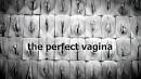 The Perfect Vagina - Over The Top Most