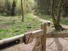 A ludicrous prohibition. Yes, I agree, making tracks through the forest in - via Daymix
