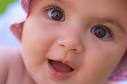 با موتور سواره کلی بحث کردم و