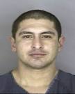 Mexican Tatooed Gangsters Arrested: David Torres,Sophia Torres ... - torres_david