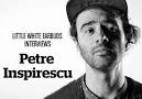 DJ, producer and composer Radu Dumitru Boidu, alias Petre Inspirescu, ... - Inter_Petre-1